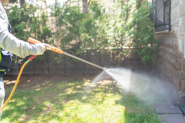 Best Mosquito Control  in O, MI